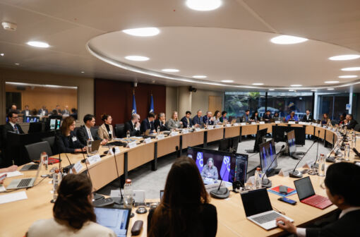 Empowering Regulators for Accelerated Decarbonisation